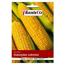Kukurydza cukrowa 10g PlantiCo