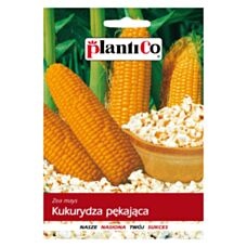 Kukurydza pękająca 10g PlantiCo