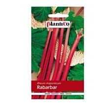 Rabarbar Lider a 0,5g ST Plantico