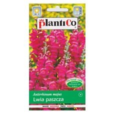 Lwia paszcza wysoka różowa 0,5g PlantiCo 