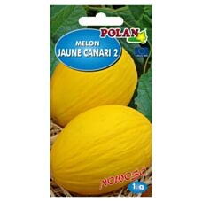 Melon Joune Canari 2 1g Polan