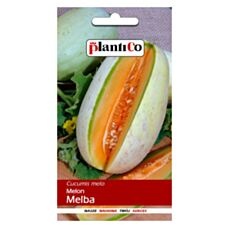 Melon MELBA 1g PlantiCo