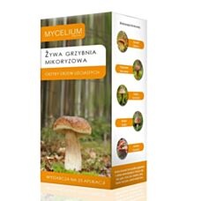 Żywa grzybnia mikoryzowa grzyby drzew liściastych 250 ml Mycelium 