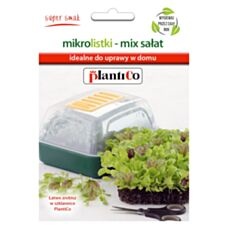 mix sałat plantico