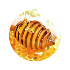 Nakrętka fi 66 4-zaczepowa Miód Honey 10 sztuk Tragar