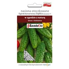 Nasiona otoczkowane Ogórek konserwowy Soplica F1 50 sztuk PlantiCo