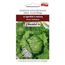 Nasiona otoczkowane sałata krucha Kinga 150 sztuk PlantiCo