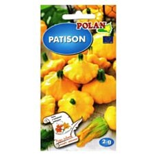 Dynia Patison Orange 2g Polan