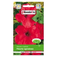 Petunia ogrodowa czerwona 0,05g PlantiCo