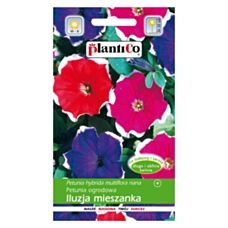 Petunia ogrodowa ILUZJA mix 0,05g PlantiCo