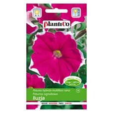 Petunia ogrodowa ILUZJA różowa 0,05g PlantiCo