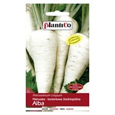 Pietruszka średniopóźna korzeniowa Alba 5g PlantiCo