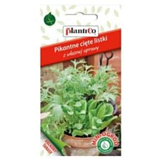 mix liścier pikantne plantico