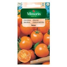 Pomidor balkonowy Venus 0,3g Vilmorin