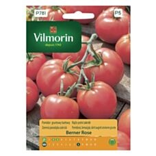 Pomidor gruntowy Berner Rose 0,2g Vilmorin