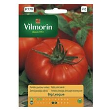 Pomidor gruntowy Big League 15 szt. Vilmorin
