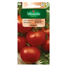 Pomidor gruntowy Orkado 0,2g Vilmorin