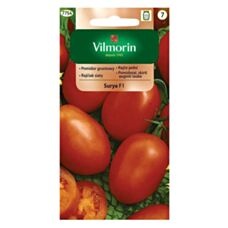Pomidor gruntowy Surya 0,2g Vilmorin