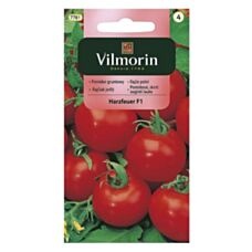 Pomidor Harzfeuer F1 0,3g Vilmorin