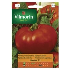 Pomidor Hector F1 0,1g Vilmorin