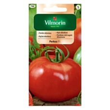Pomidor Perkoz F1 0,2g Vilmorin