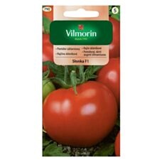 Pomidor Słonka F1 0,2g Vilmorin