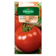 Pomidor szklarniowy Bekas F1 0,2g Vilmorin