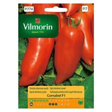 Pomidor szklarniowy Cornabel F1 Vilmorin