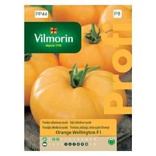 Pomidor szklarniowy wysoki Wellington F1 0.1g Vilmorin 