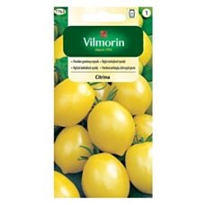 Pomidor zółty Citrina 0,3g Vilmorin