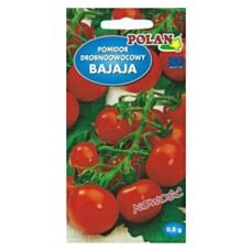 Pomidor drobnoowocowy Bajaja 0,5g Polan