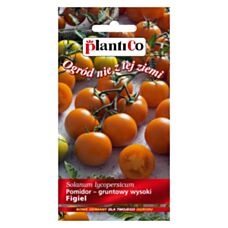 Pomidor gruntowy Figiel 0,2g PlantiCo