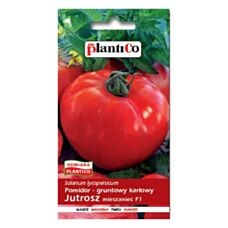 Pomidor gruntowy Jutrosz 0,5g PlantiCo
