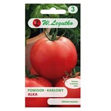 Pomidor gruntowy karłowy Alka 0,5g Legutko