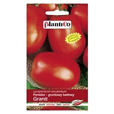 Pomidor gruntowy karłowy GRANIT 1g PlantiCo