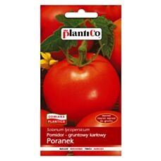 Pomidor gruntowy karłowy Poranek 1g PlantiCo