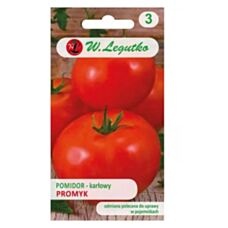 Pomidor gruntowy karłowy Promyk 0,5g Legutko