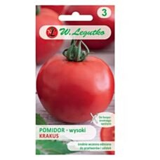Pomidor gruntowy Krakus 0,5g Legutko