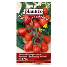 Pomidor gruntowy wysoki RED PEAR 0,2g PlantiCo