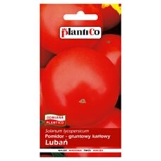 Pomidor karłowy gruntowy Lubań 1g PlantiCo