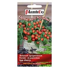 Pomidor karłowy typ cherry VILMA 0,2g PlantiCo