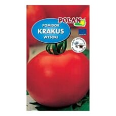 Pomidor Krakus 1g Polan