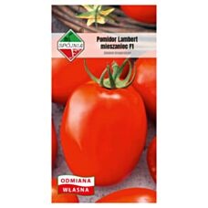 Pomidor Lambert F1 0,2g Spójnia