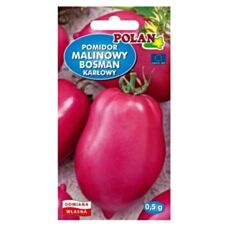 Pomidor Malinowy Bosman 0,5g Polan