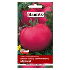 Pomidor malinowy MALINIAK 10g PlantiCo