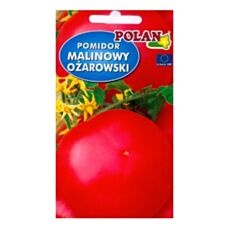 Pomidor malinowy Ożarowski 0,5g Polan
