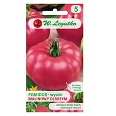 Pomidor Malinowy Olbrzym 1g Legutko