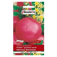 Pomidor malinowy Warszawski 10g PlantiCo