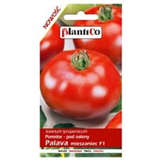 Pomidor Palava 0,1g PlantiCo