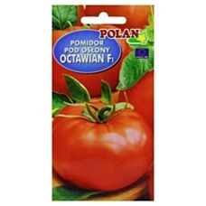 Pomidor szklarniowy Octawian 0,1g PlantiCo
